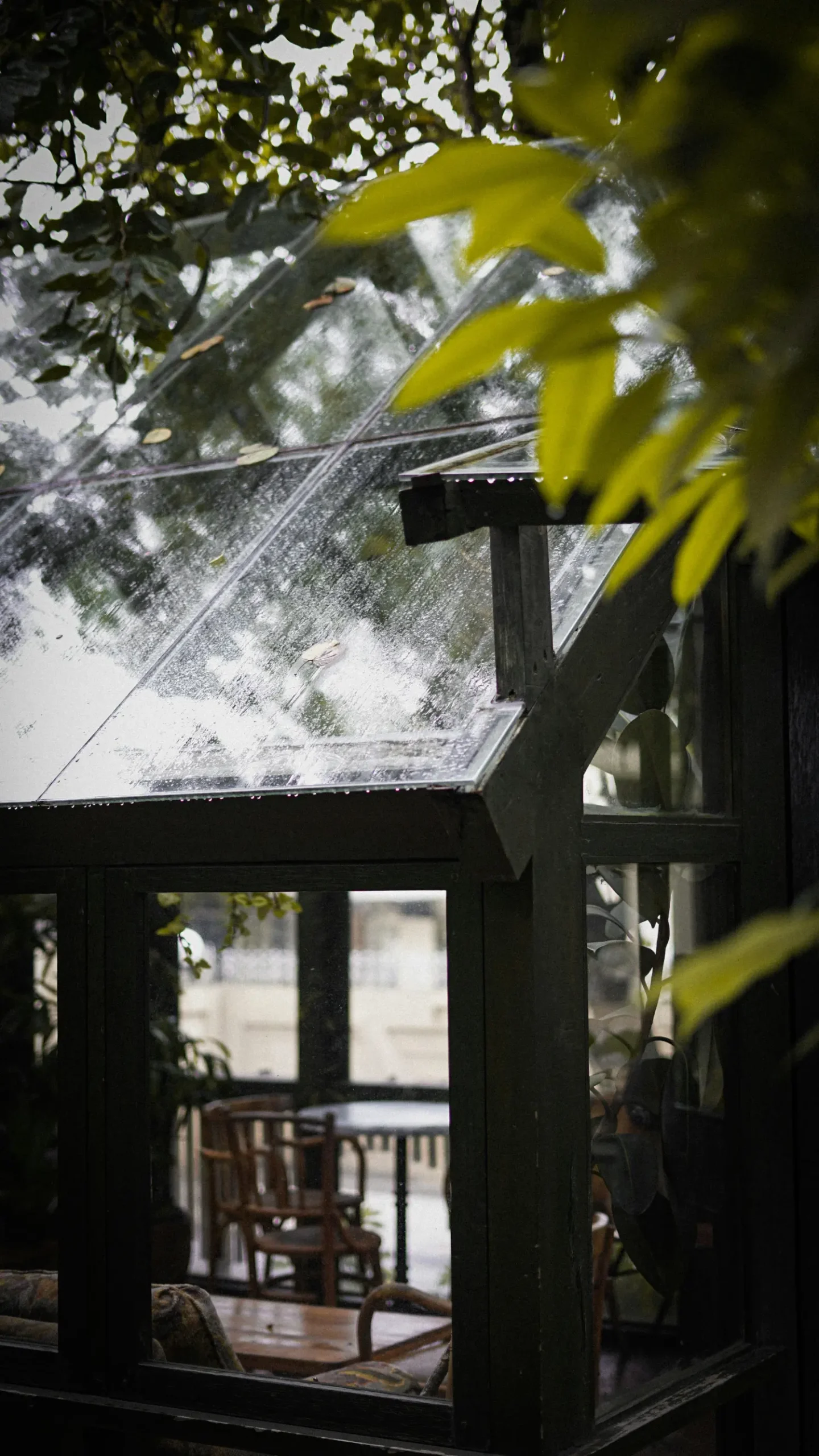 Großes, sauberes Schaufenster eines Geschäfts, das die Notwendigkeit der visuellen Erkennbarkeit von Glasflächen zeigt.